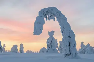 Suns: Snowy trees at sunset, winter landscape, Pyh&, x4b4c;uosto