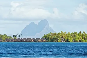 Ragged: Society Islands, French Polynesia. View