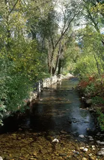 Fortified: Soda Creek in Autumn