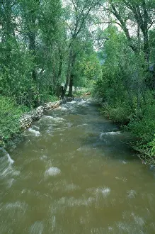 Fortified: Soda Creek in Summer