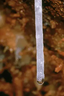 Arkansas: Soda Straw cave formation