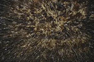 Dripstone: Soda Straws in Carlsbad Caverns