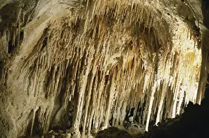 Dripstone: Soda Straws in Carlsbad Caverns
