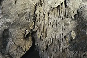 Dripstone: Soda Straws in Oregon Caves NM