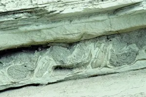 Sedimentology: Soft sediment deformation