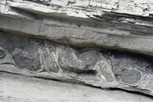 Glaciation: Soft Sediment Deformation