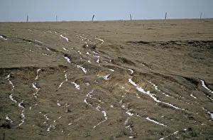 Trails: Soil Erosion on KS Pasture Slope