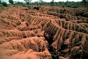 Baringo: Serious soil erosion near Lake Baringo