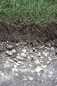 Topsoil: Soil profile