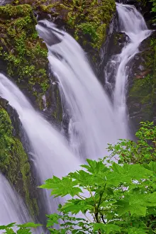 Adam: Sol Duc River and Falls, Olympic National Park