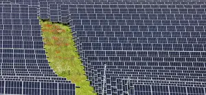 Powered: Solar field, solar park in the landscape, Nellingen