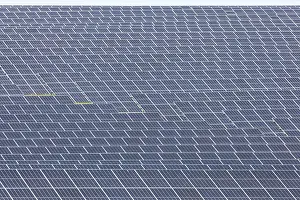 Powered: Solar field, solar park in the landscape, Nellingen