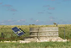 Pump: Solar panel for powering water pump at waterhole