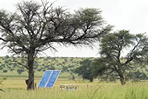 Pump: Solar panel for powering water pump at waterhole