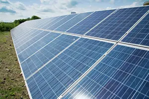 Cell: Solar panels to generate electricity for pig farm