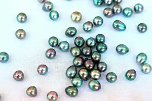 Sold: sold in retail. The beads called Tahitian black