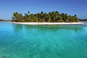 Dream: Solitary island in lagoon, beach with palm trees
