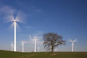 Wind: Solitary tree in between spinning wind turbines