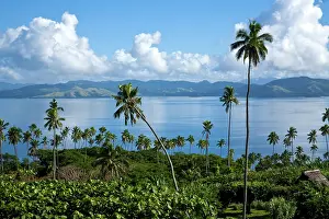 Peebles: Somosomo Straights, , Taveuni, Fiji