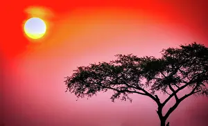 Uganda: Sonnenaufgang im Murchison Falls National Park Uganda