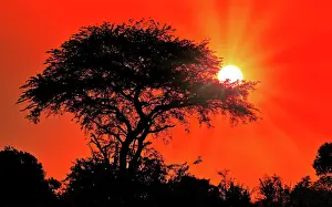 Uganda: Sonnenuntergang im Murchison Falls National Park Uganda