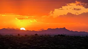 Saguaro: Sonora Desert at sunset, Saguaro National Park
