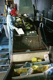 Packaging: Sorting polystyrene containers for recycling