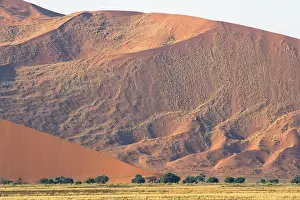Rand: Sossusvlei dunes