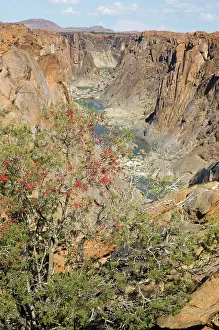 Boer: South Africa - Augrabies Falls National Park, Northern Cape