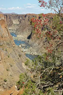 Boer: South Africa - Augrabies Falls National Park, Northern Cape