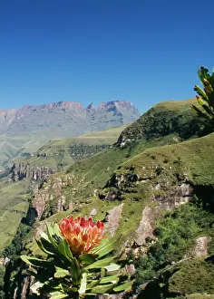 Ingrid Van Den Berg: SOUTH AFRICA - Drakensberg. Mountain scene with