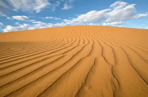 Windswept: South Africa, Kgalagadi Transfrontier Park