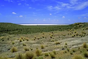 Kymri: South America, Argentina, Peninsula Valdes