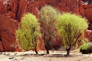 Jujuy: South America, Argentina, Province Jujuy