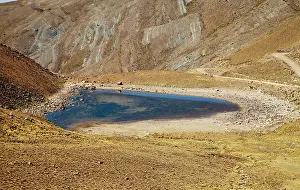 Puna: South America, Argentina, Province Jujuy