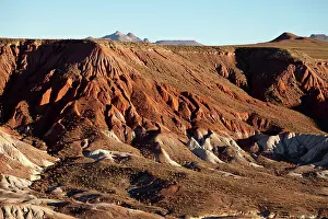 Puna: South America, Argentina, Province Jujuy