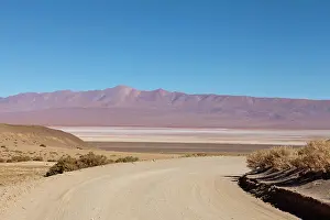 Puna: South America, Argentina, Province Salta