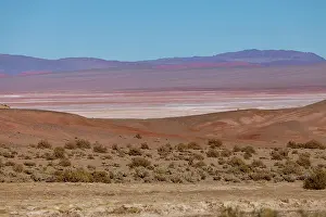 Puna: South America, Argentina, Province Salta