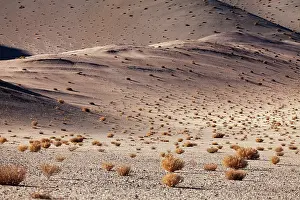 Puna: South America, Argentina, Province Salta