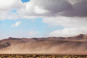 Puna: South America, Argentina, Province Salta