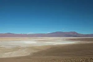 Puna: South America, Argentina, Province Salta