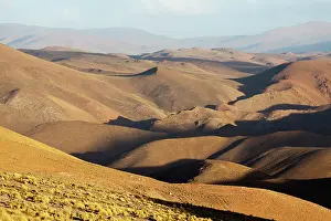 Puna: South America, Argentina, Province Salta