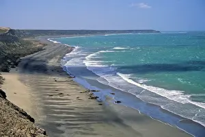 Patagonian: South America, Argentina, Valdes Peninsula