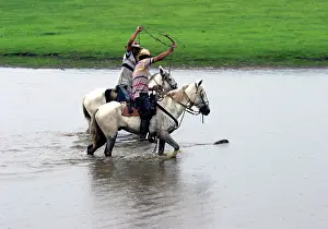 Hydrochaeris: South American Cowboy / llanero - catching capybara
