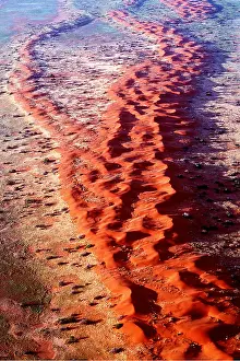 Strzelecki: South AUSTRALIA - Strzelecki Desert - Red longitundinal