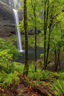 Oregon: South Falls at Silver Falls State Park near Sublimity