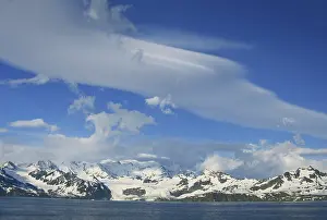 Interesting: South Georgia Island