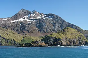 Godthul: South Georgia Island, Godthul. Waterfront