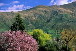 Todd: South Island, New Zealand, High angle view