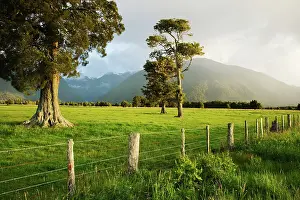 Flaherty: South Pacific, New Zealand, South Island